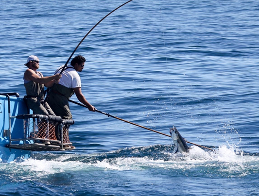 Carbon Footprint of Pole-Caught Tuna vs. Other Protein Sources