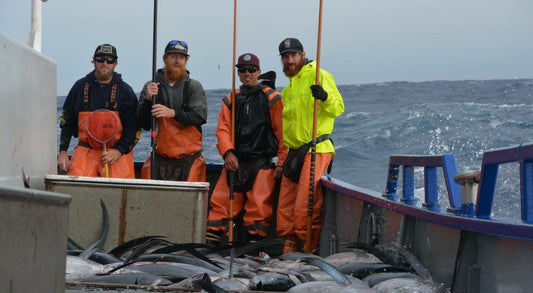 How Pole-Caught Tuna Fishing Protects Other Sea life