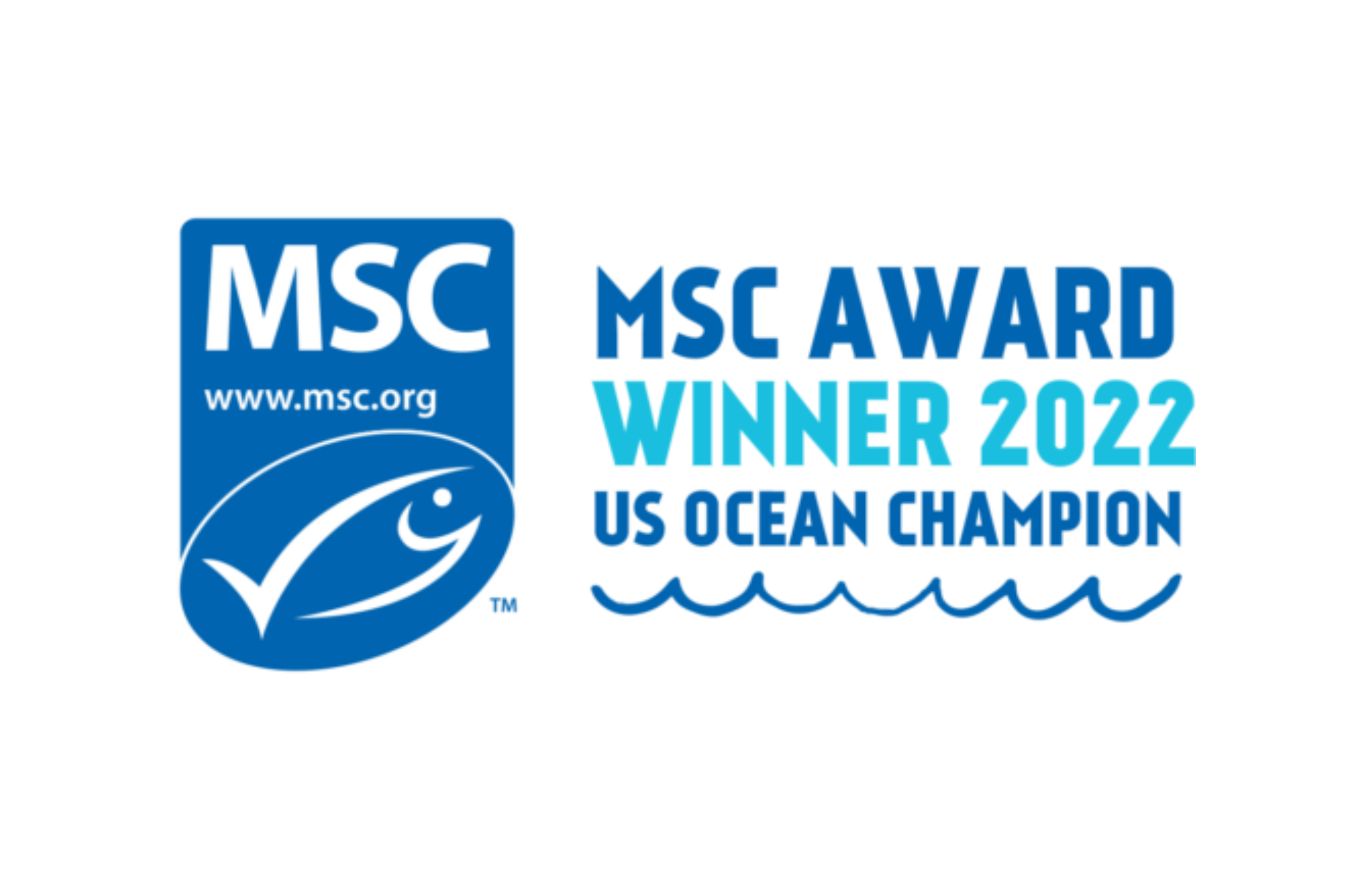 MSC award winner 2022