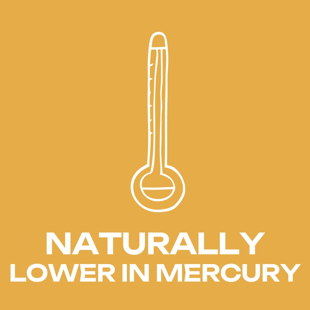 icon on mercury meter