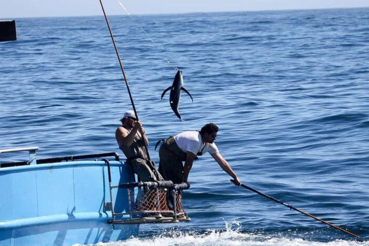 photo of men fishing