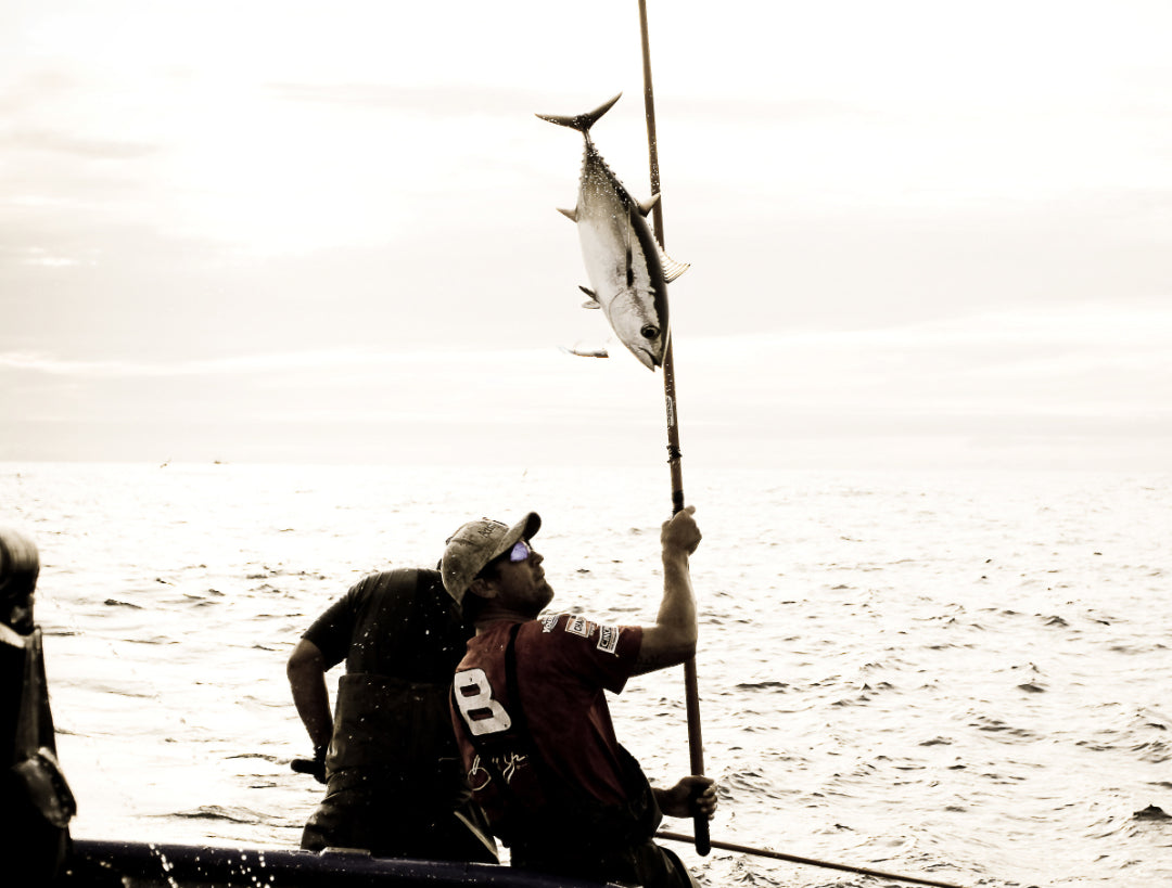 photo of man catching tuna fish