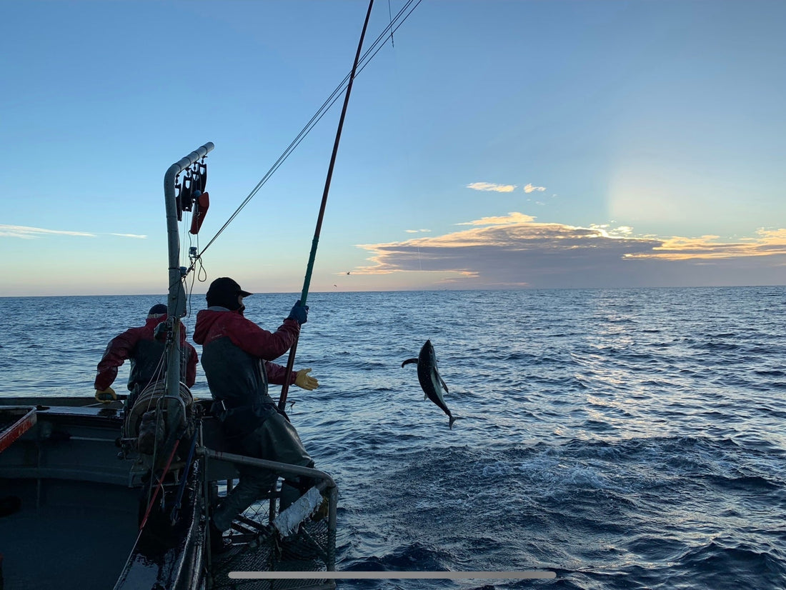 Want to Know Where Your Canned Tuna Was Caught? American Tuna Tells You On Every Can