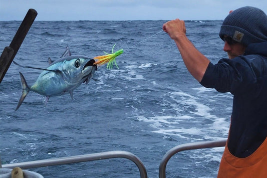 Not All "Sustainable" Tuna Labels Mean the Same Thing — Here's How to Actually Tell