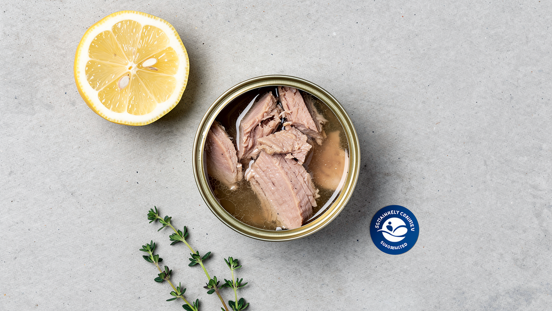 What Does MSC Certified Actually Mean? The Seafood Label Explained in Plain Language