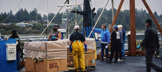 Crew offloading pole-and-line caught albacore tuna in insulated totes on a Pacific Northwest dock