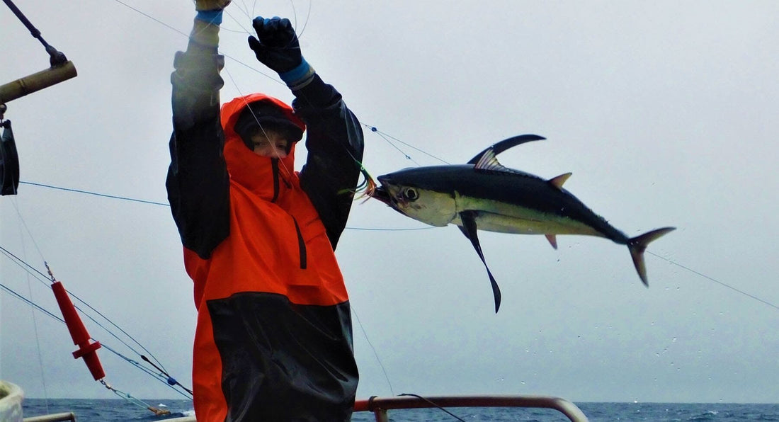 Premium Tuna Fish: What Actually Separates It From the Rest