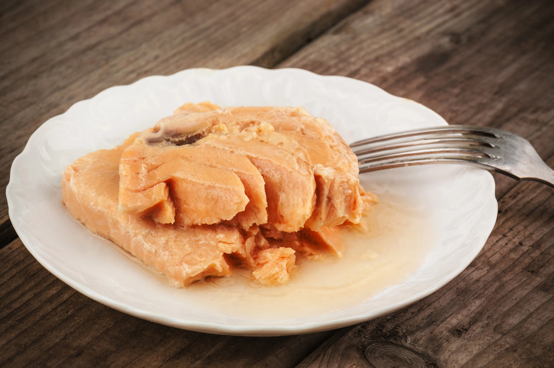 canned salmon protein