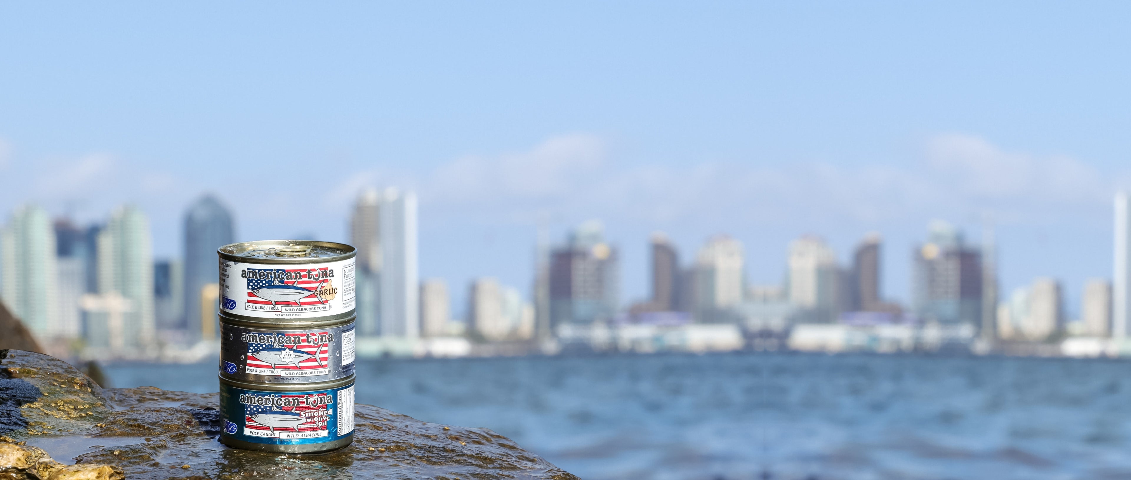 Photo of American Tuna can in front of San Diego skyline